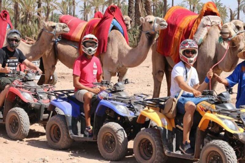 Marrakech 3-Hour Quad Bike & Camel Ride in Palmeraie - Highlights of the Experience