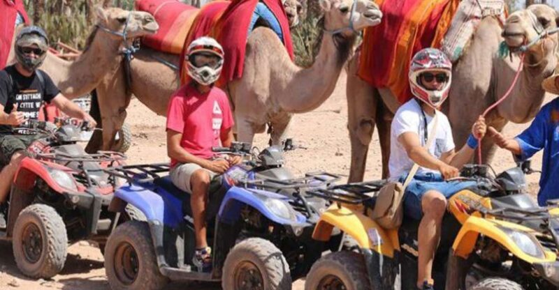 Marrakech 3-Hour Quad Bike & Camel Ride in Palmeraie - Itinerary Details