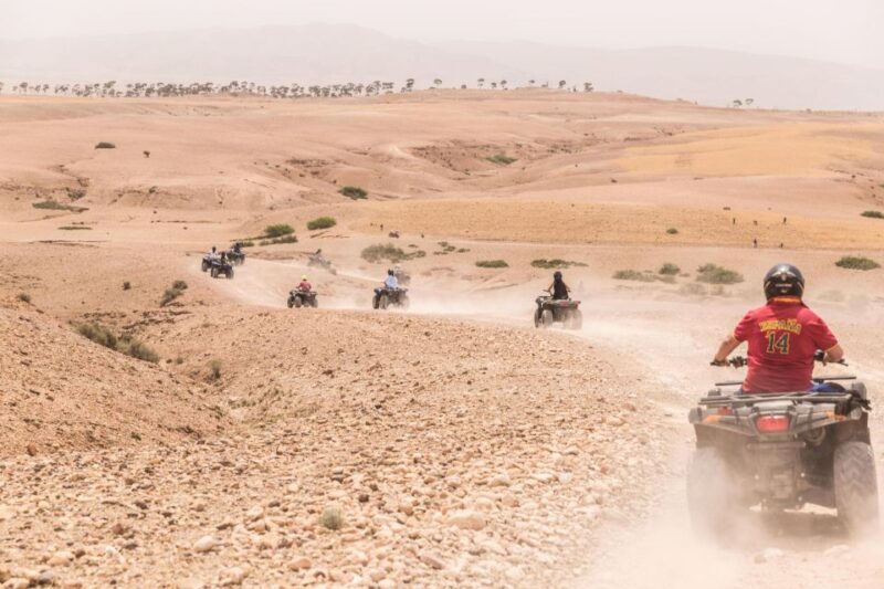 Marrakech 3-Hour Quad Bike & Camel Ride in Palmeraie - Exhilarating Quad Biking Adventure