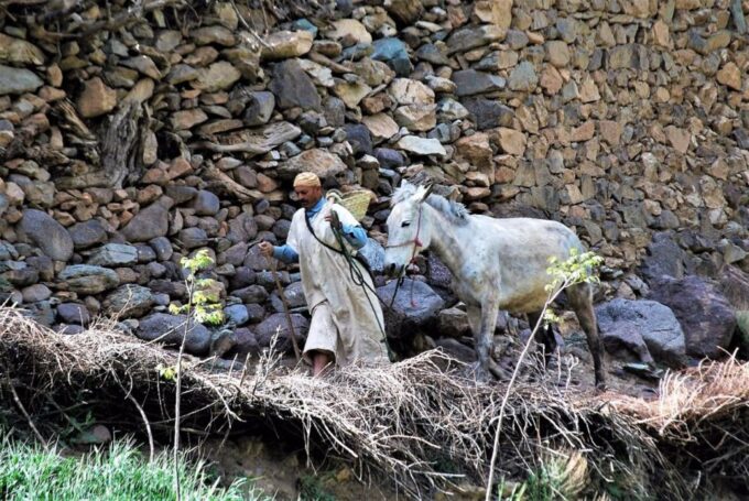 Marrakech: 4 Day Trek High Atlas Mountains & Green Valleys - Accommodation in Berber Villages (Gites)