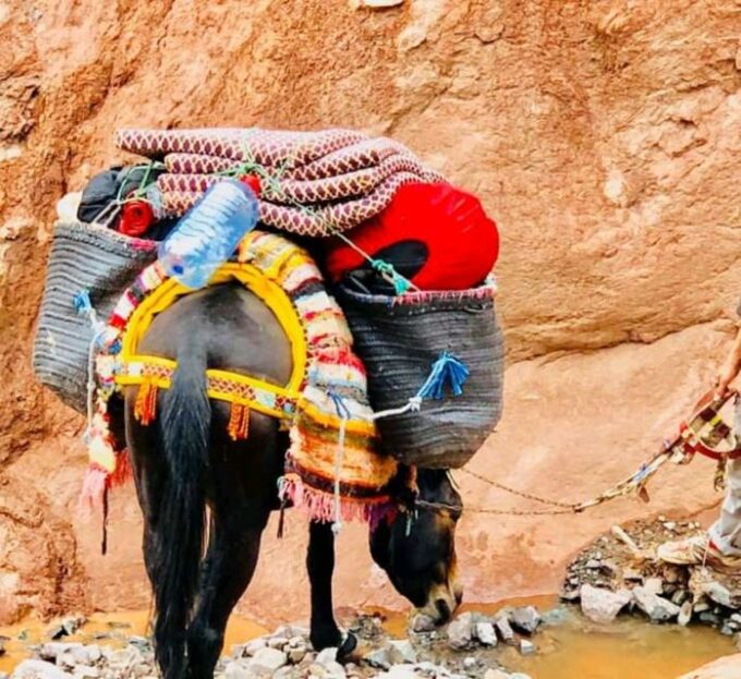 Marrakech: 4 Day Trek High Atlas Mountains & Green Valleys - Who the Trek Is Suitable for