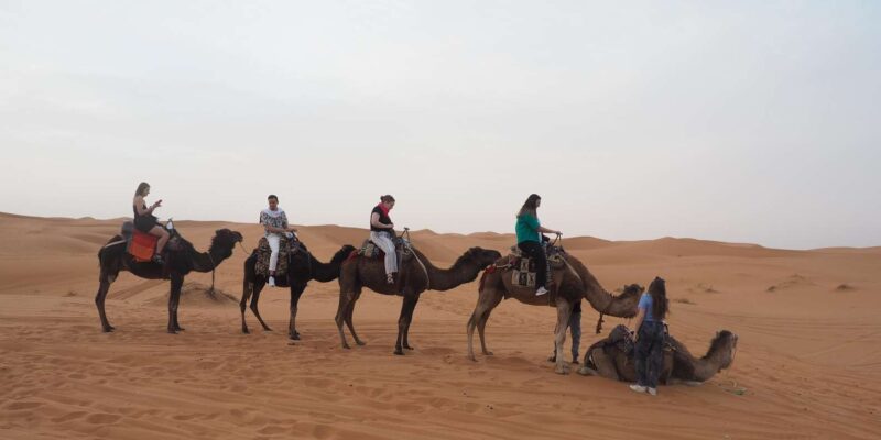 Marrakech 6-Days Tour To Imperial Cities and Sahara Desert - Good To Know