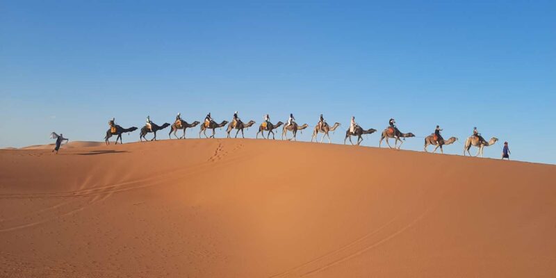 Marrakech 6-Days Tour To Imperial Cities and Sahara Desert - Discovering Meknes and Fes