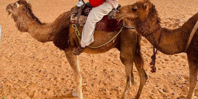 Marrakech 6-Days Tour To Imperial Cities and Sahara Desert - Discovering Ait Ben Haddou and Marrakech
