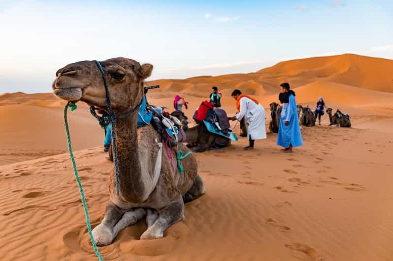 Marrakech: 9-Day Morocco Grand Tour With Accommodation - Itinerary Highlights