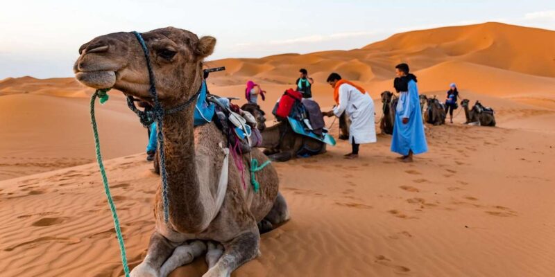 Marrakech: 9-Day Morocco Grand Tour With Accommodation - Accommodations and Meals