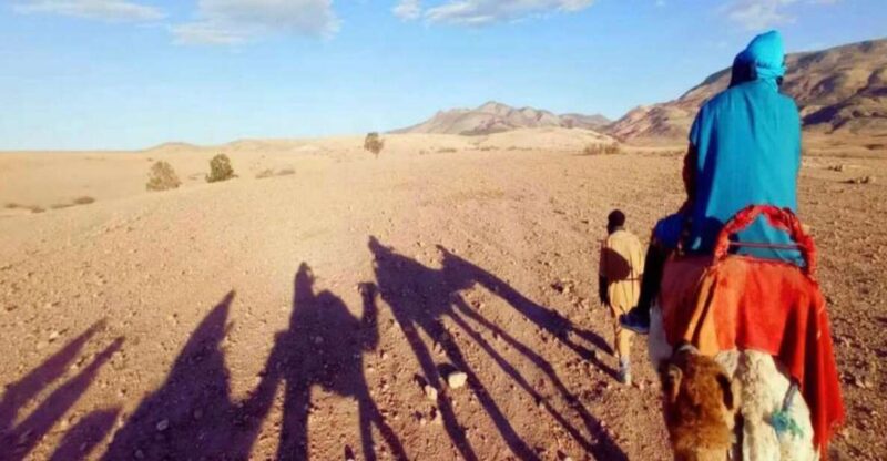 Marrakech: Agafay Desert Evening Trip Under the Stars - Itinerary and Activities