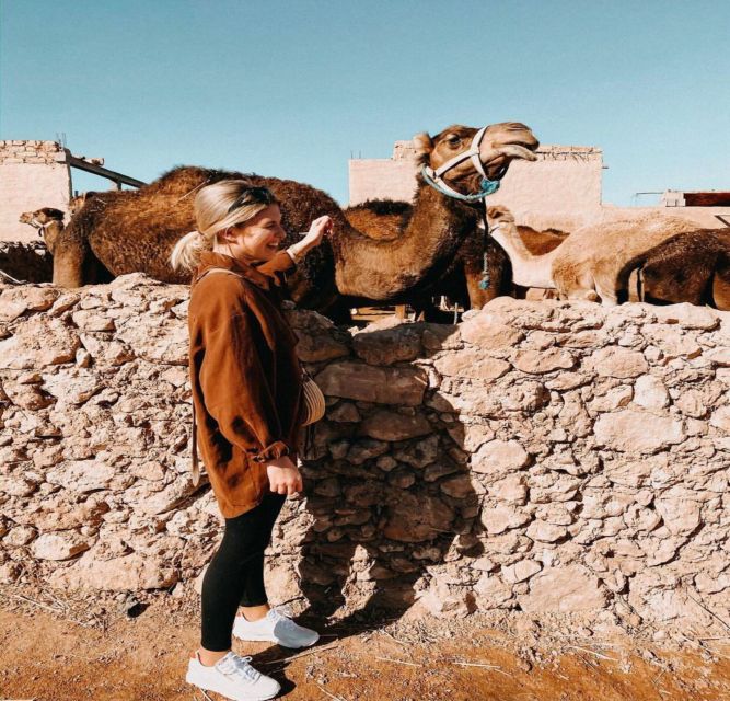 Marrakech: Agafay Desert Evening Trip Under the Stars - Culinary Experience