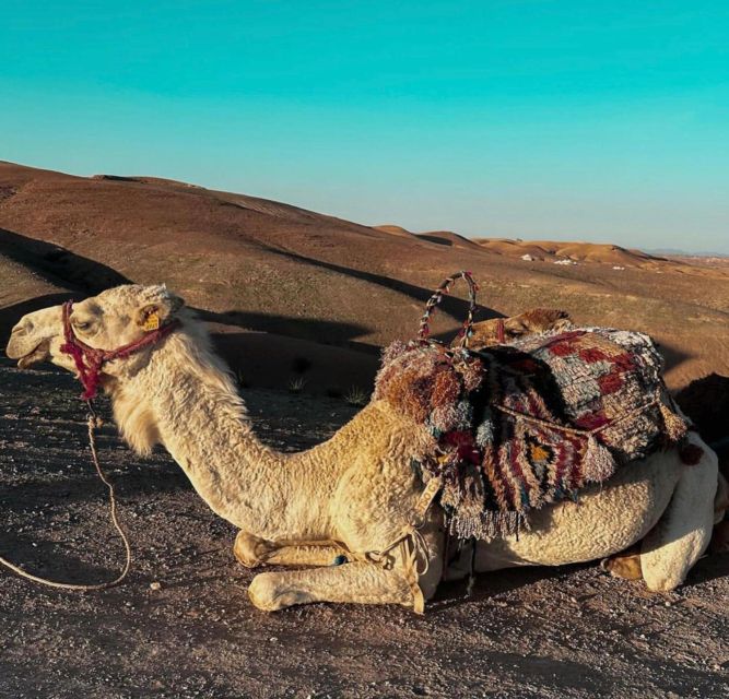 Marrakech: Agafay Desert Evening Trip Under the Stars - Camel Ride Through Dunes