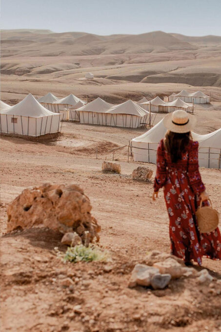 Marrakech: Agafay Desert Quad Bike, Camel Ride and Dinner - Customer Feedback and Ratings