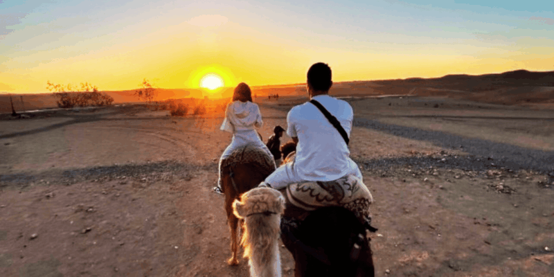 Marrakech: Agafay Sunset-Camel Ride With Private Transfer - Private Transfer Details