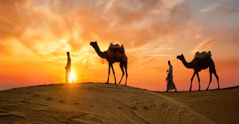 Marrakech: Agafay Sunset-Camel Ride With Private Transfer - Activity Inclusions
