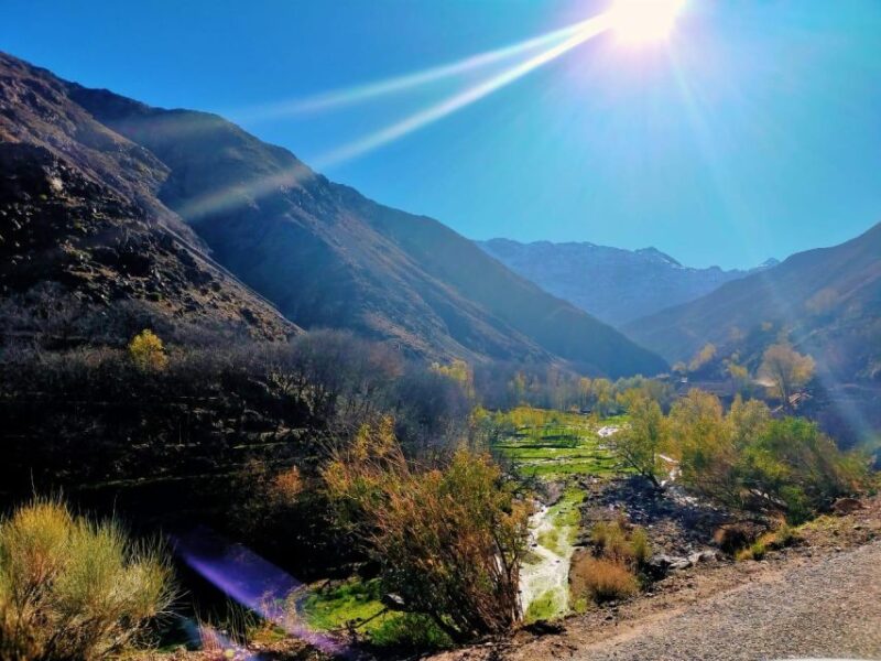 Marrakech: Ait Ben Haddou Kazbah and Telouat Day Trip - Important Information