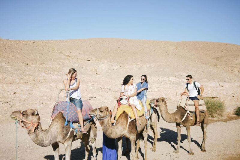 Marrakech: Atlas Mountains, Agafay Desert, Lunch, Camel Ride - Good To Know