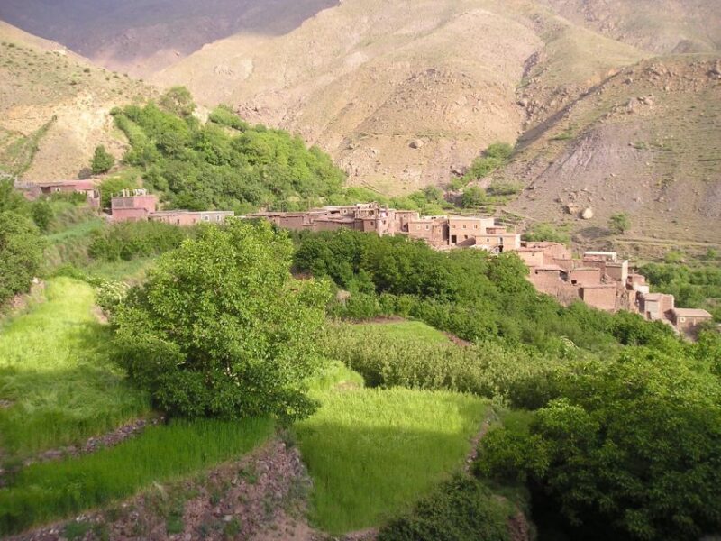 Marrakech: Atlas Mountains, Agafay Desert, Lunch, Camel Ride - Scenic Drive Through Lush Vegetation
