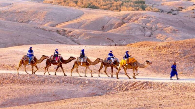 Marrakech : Atlas Mountains & Agafay Desert With Camel Ride - Experience and Activities