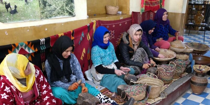 Marrakech: Atlas Mountains Day Trip With Camel Ride Option - Important Information