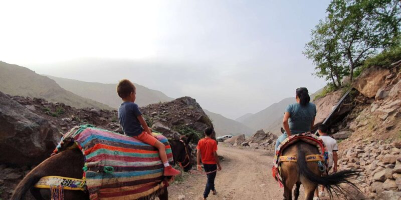 Marrakech: Atlas Mountains Family Day Trip With Mule Ride - Good To Know
