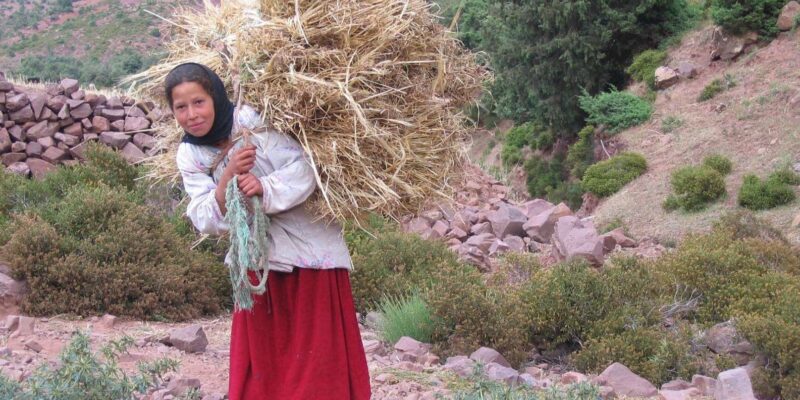 Marrakech: Atlas Mountains Family Day Trip With Mule Ride - Mule and Camel Riding Adventure