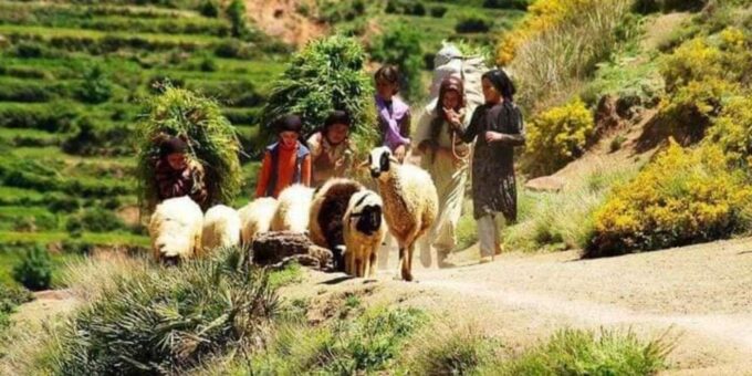 Marrakech: Atlas Mountains Family Day Trip With Mule Ride - Visiting Womens Cooperative and Berber Market