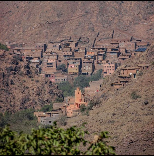 Marrakech: Atlas Mountains Paraglide and Camel Ride Day Trip - Customer Feedback and Ratings