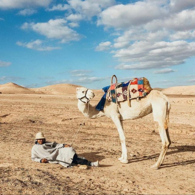 Marrakech: Atlas Mountains Paraglide and Camel Ride Day Trip - Discovering Argan Oil Production