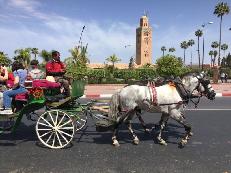 Marrakech: Bahia & Badi Palaces & Saadian Tombs Guided Tour - Frequently Asked Questions