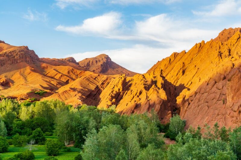 Marrakech: Berber Culture Experience & Atlas Mountains Tour - Argan Oil Cooperative