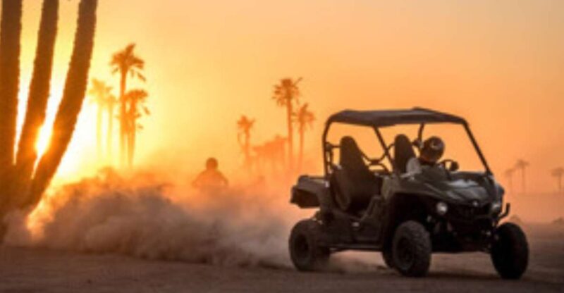 Marrakech: Buggy Drive in the Palm Groves - Good To Know