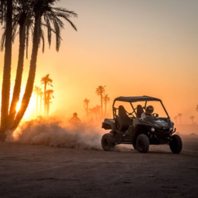 Marrakech: Buggy Drive in the Palm Groves - Guest Ratings and Feedback
