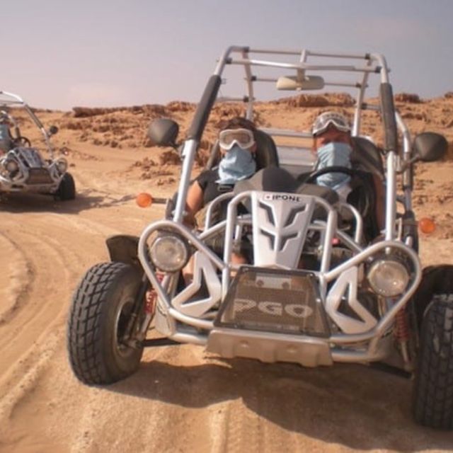 Marrakech: Buggy Drive in the Palm Groves - Frequently Asked Questions