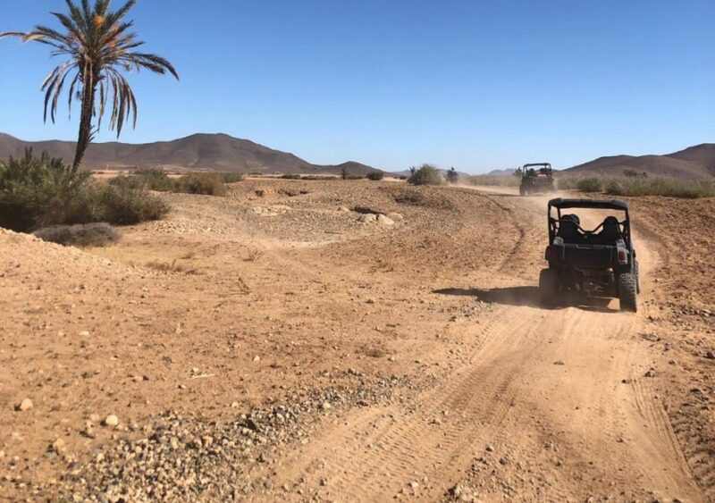 Marrakech: Buggy Experience at Palmeraie With Hotel Pickup - Exploring the Palm Oasis