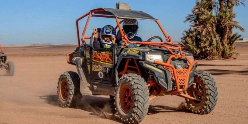 Marrakech: Buggy Ride in the Palm Groves - What to Expect