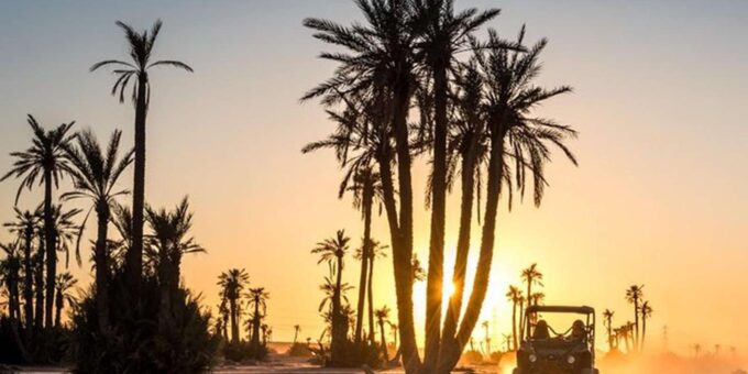 Marrakech: Buggy Ride in the Palm Groves - Frequently Asked Questions