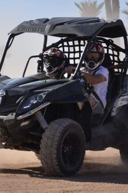 Marrakech: Buggy Ride in the Palm Groves - Highlights of the Experience