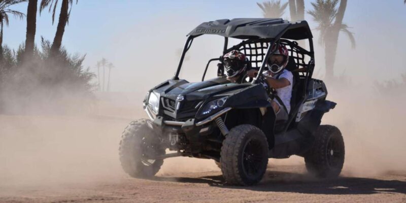 Marrakech: Buggy Ride in the Palm Groves - Guide and Safety Details