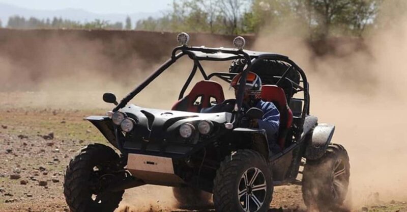 Marrakech: Buggy Ride in the Palm Groves - Customer Feedback and Ratings