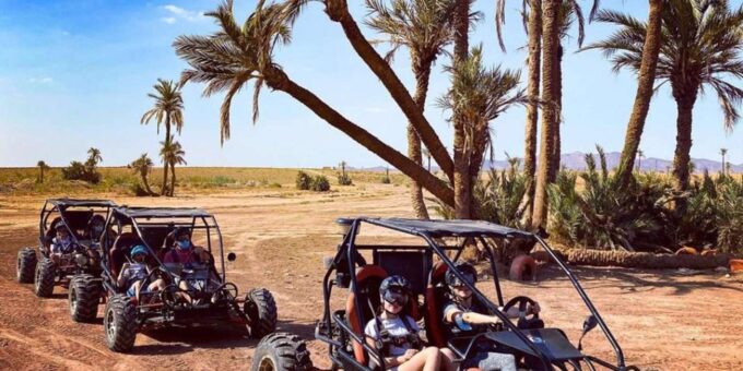 Marrakech: Buggy Ride in the Palm Groves - Exploring the Palm Groves