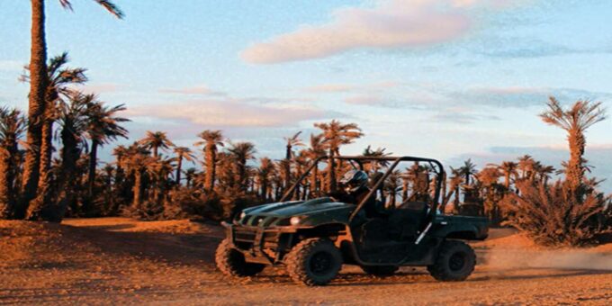 Marrakech: Buggy Ride in the Palm Groves - Interacting With Local Families