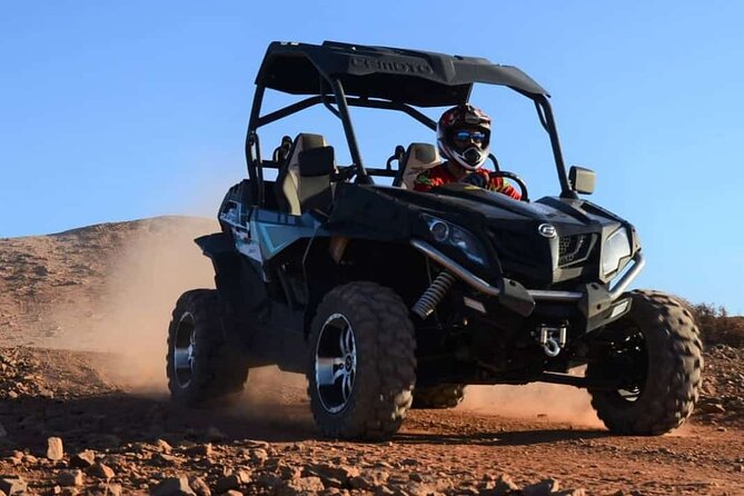 Marrakech: Buggy Tour in the Palmgroves - Good To Know