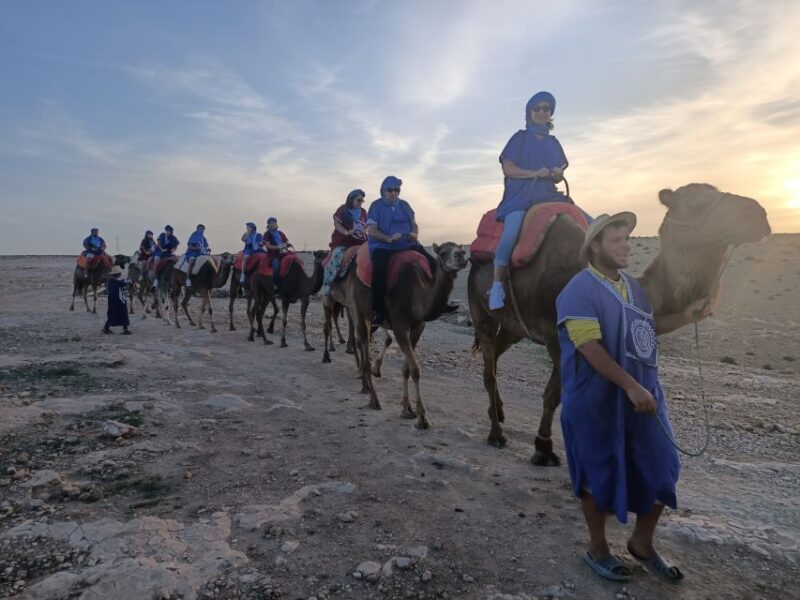 Marrakech: Camel Safari at Agafay Desert - Highlights of the Experience
