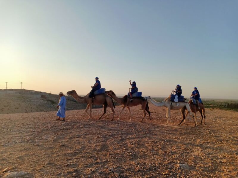 Marrakech: Camel Safari at Agafay Desert - Important Considerations