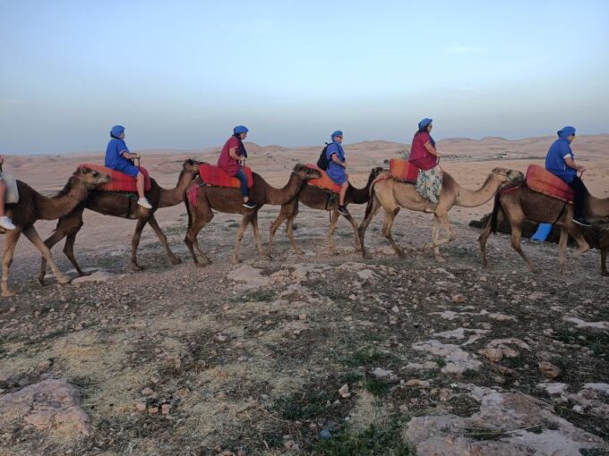 Marrakech: Camel Safari at Agafay Desert - Traveler Feedback and Ratings