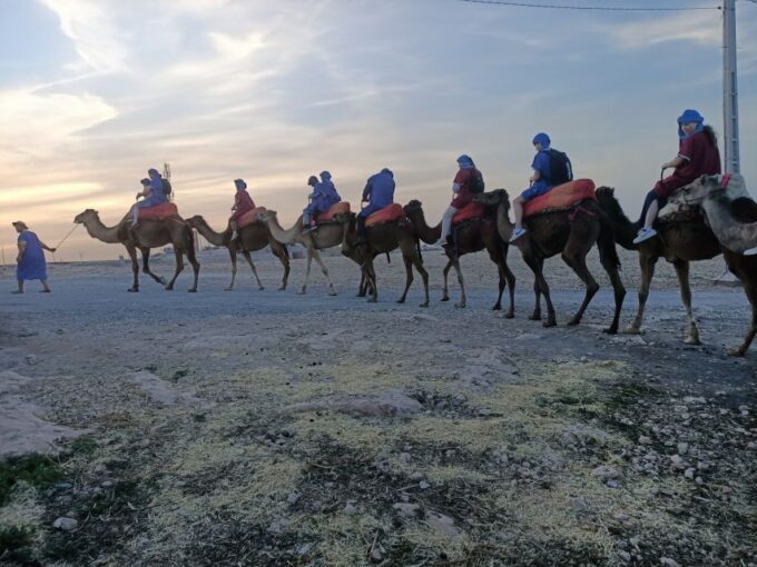 Marrakech: Camel Safari at Agafay Desert - Preparing for the Camel Ride