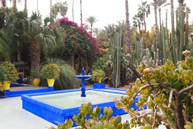 Marrakech City Tour: Half-Day Guided Tour - Schedule and Pickup