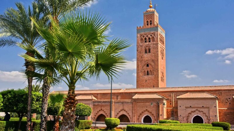 Marrakech: Cooking Class in Marrakech by Chef Ayoub - Customer Reviews and Ratings