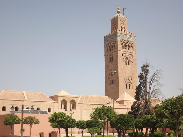 Marrakech Day Trip From Agadir & Taghazout - Customer Reviews and Ratings