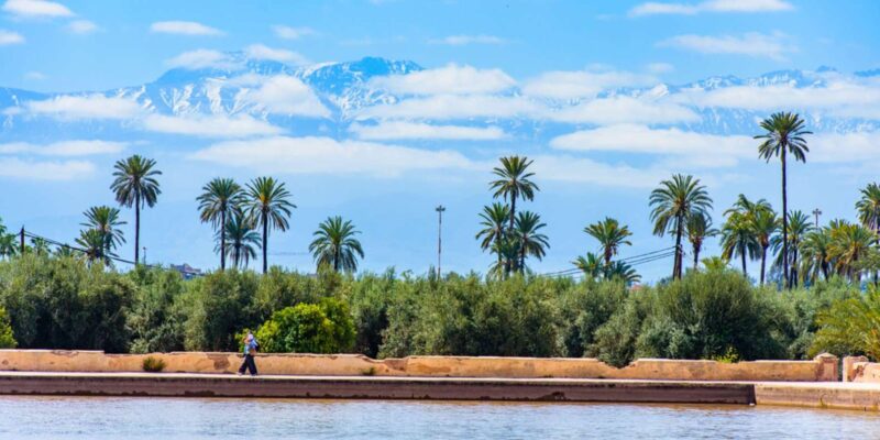Marrakech Day Trip From Casablanca - Itinerary Highlights