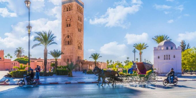 Marrakech Day Trip From Casablanca - Group Size and Accessibility