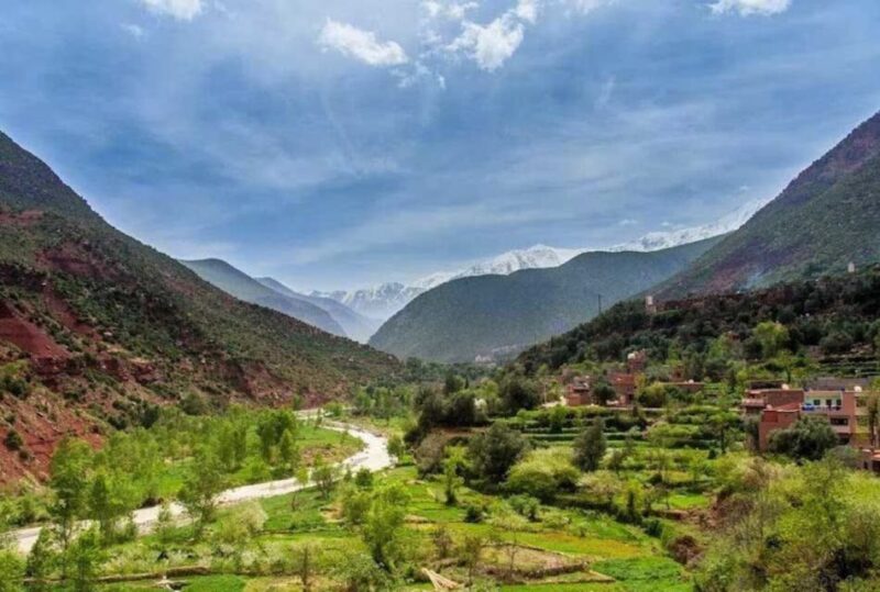 Marrakech: Day Trip to Ourika Valley and Setti Fadma - Inclusions and Pricing Details